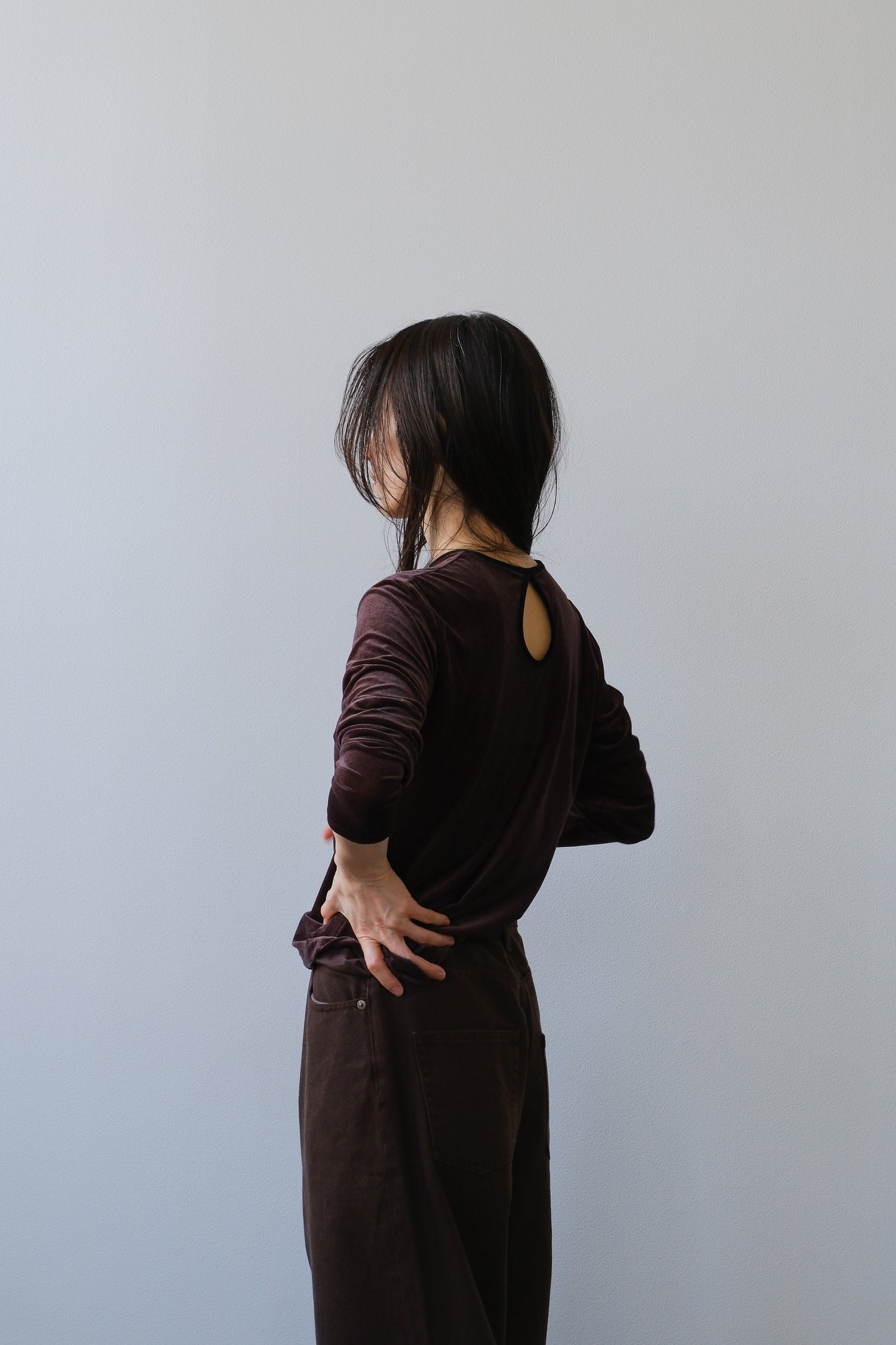 Sheer velour tops (brown)