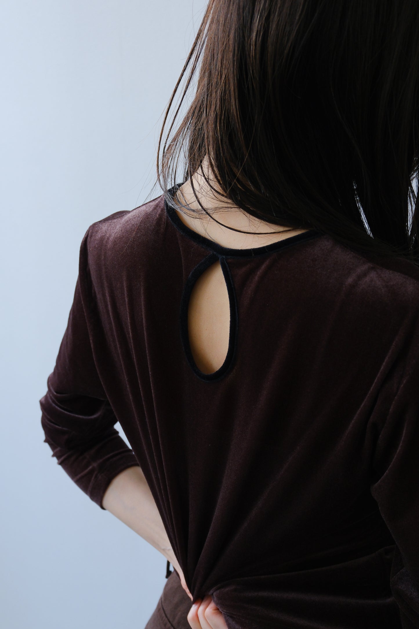 Sheer velour tops (brown)