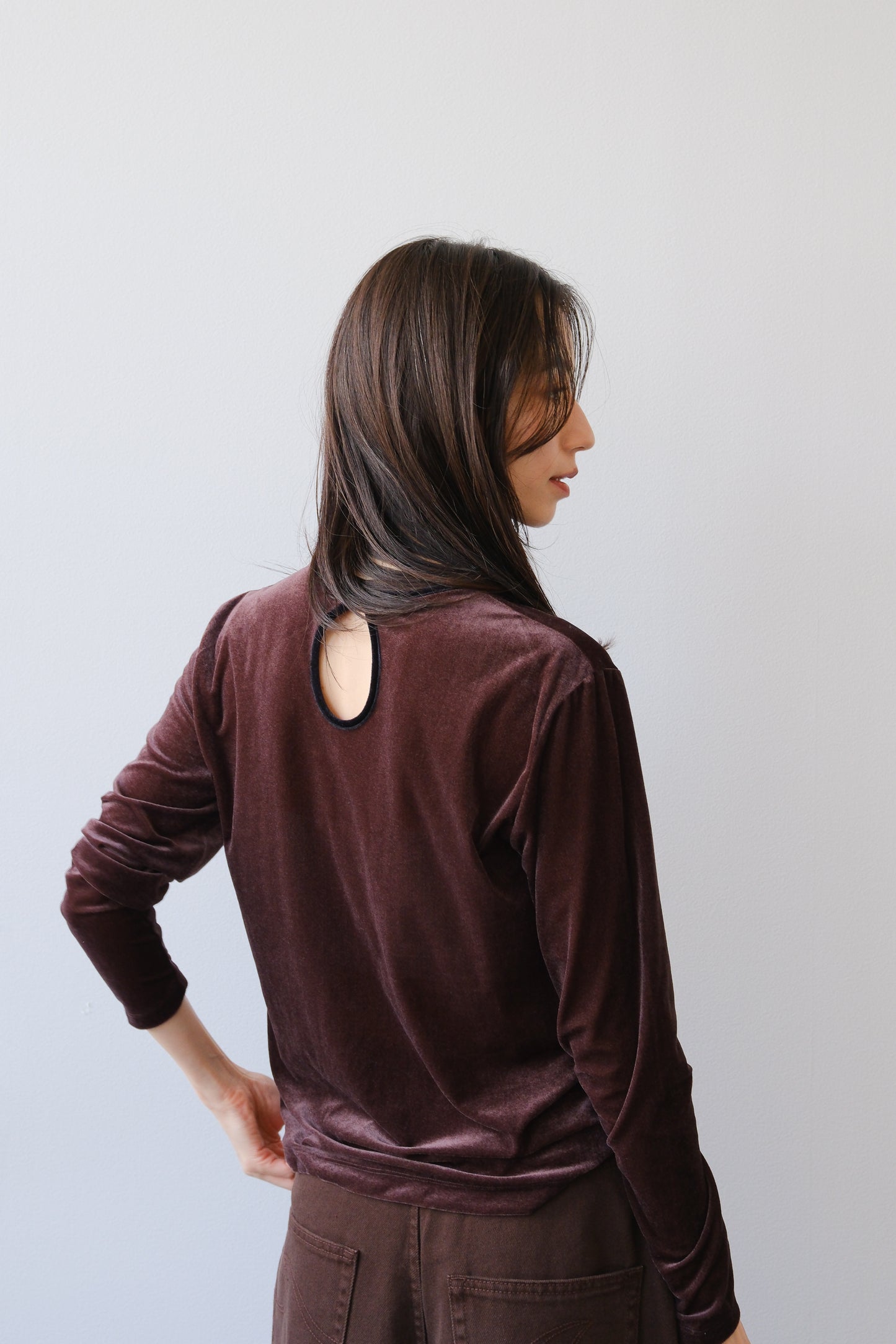 Sheer velour tops (brown)