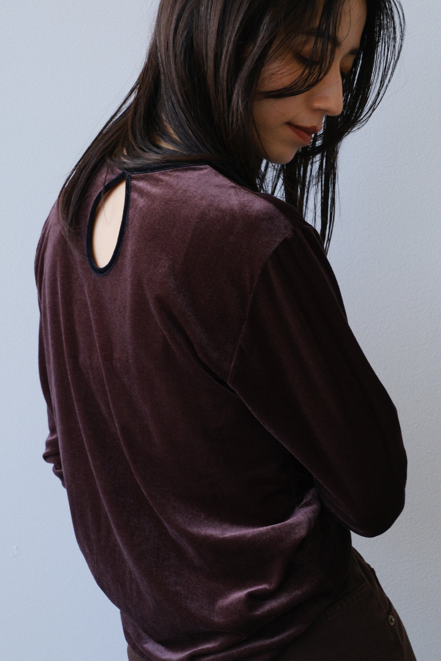 Sheer velour tops (brown)