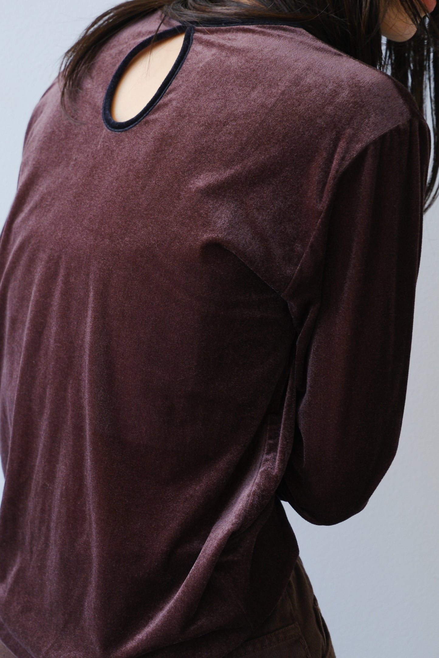 Sheer velour tops (brown)