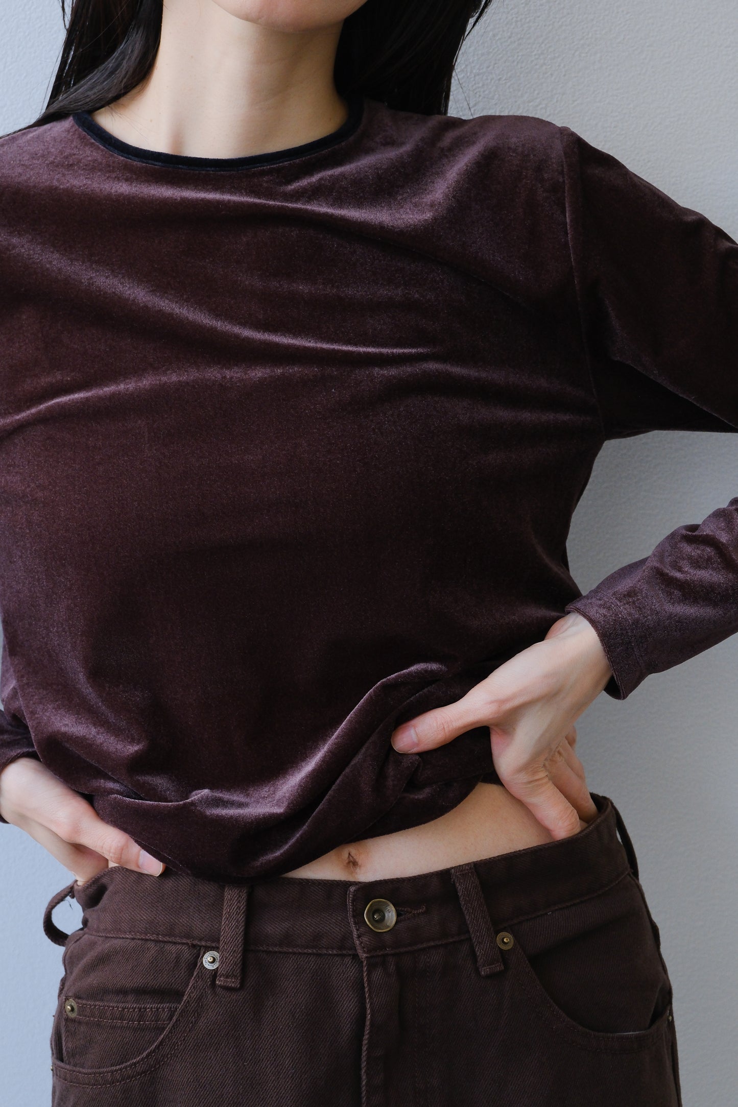 Sheer velour tops (brown)