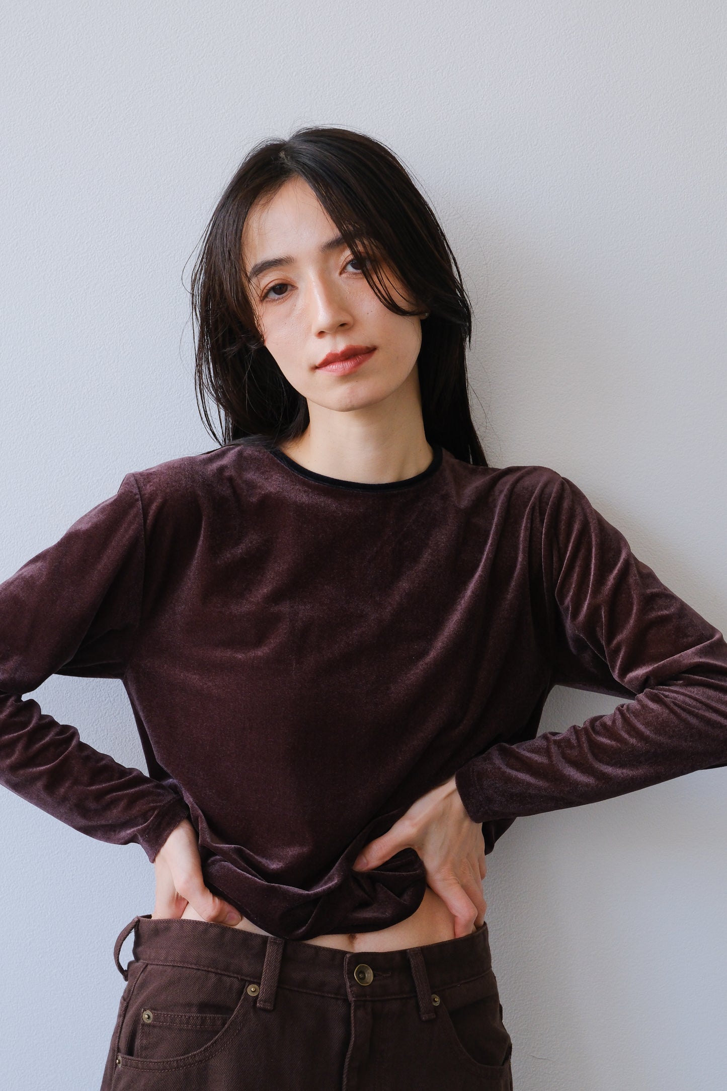 Sheer velour tops (brown)