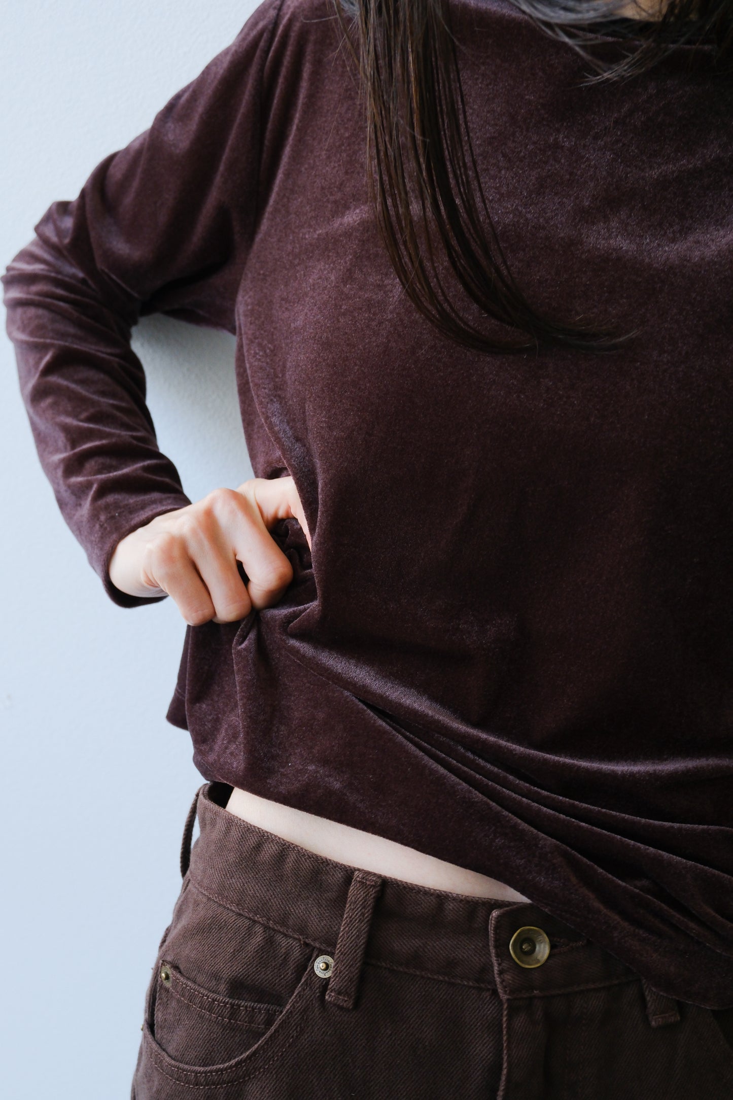 Sheer velour tops (brown)