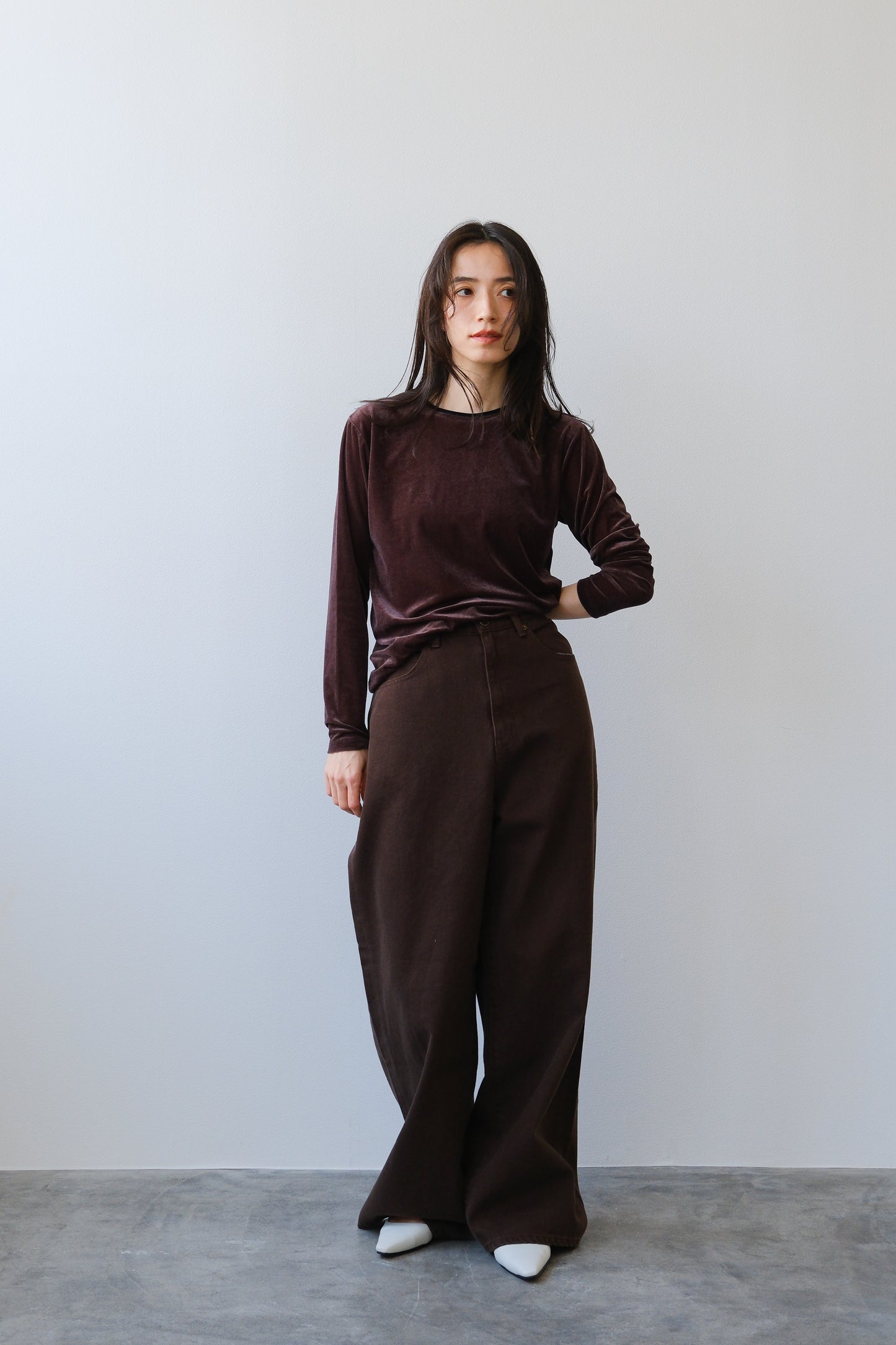 Sheer velour tops (brown)