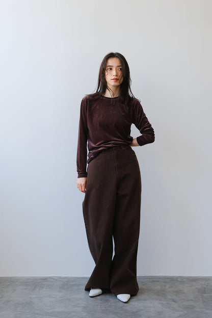 Sheer velour tops (brown)