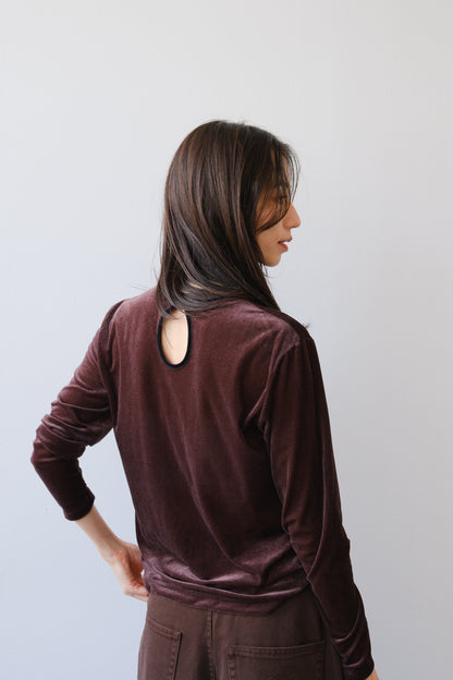 Sheer velour tops (brown)