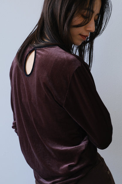 Sheer velour tops (brown)