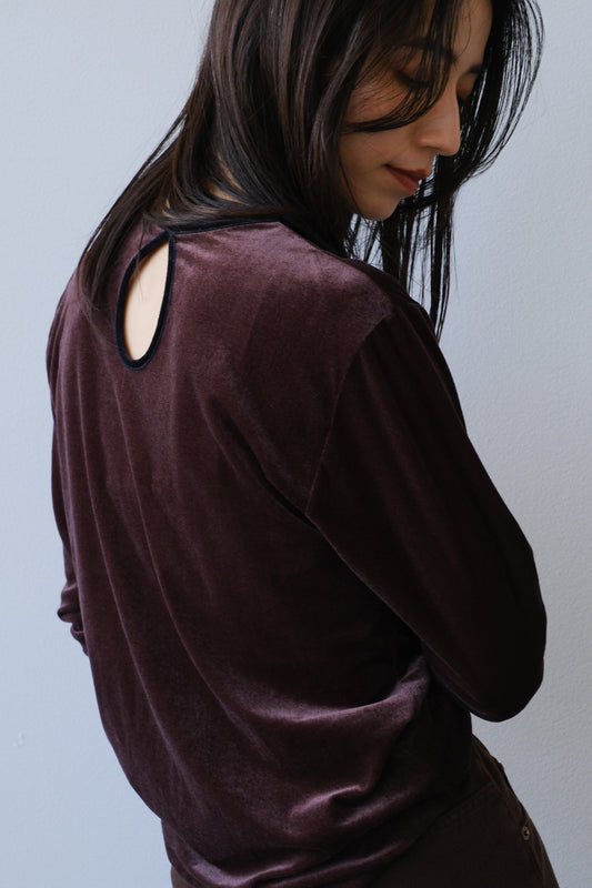 Sheer velour tops (brown)