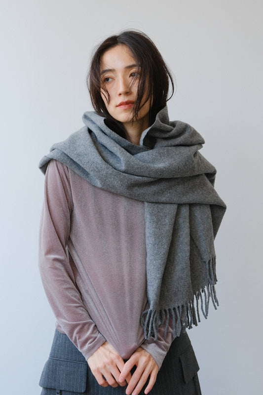 Sheer velour tops (gray)
